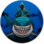 Акула в мире ставок