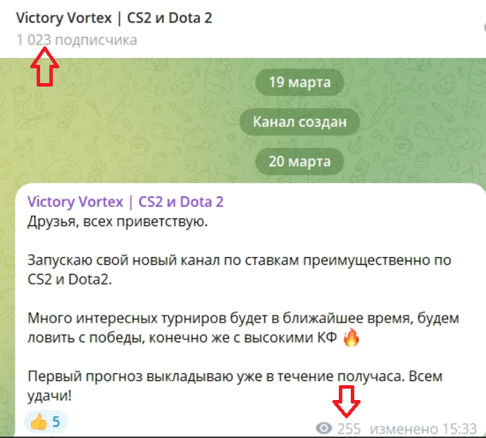 victory vortex cs2 и dota 2