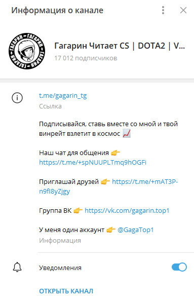 gagarin.top1