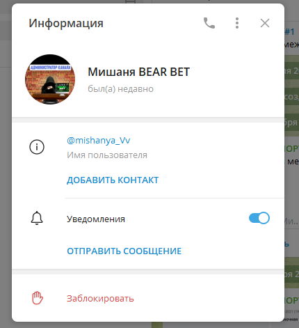 bear bet