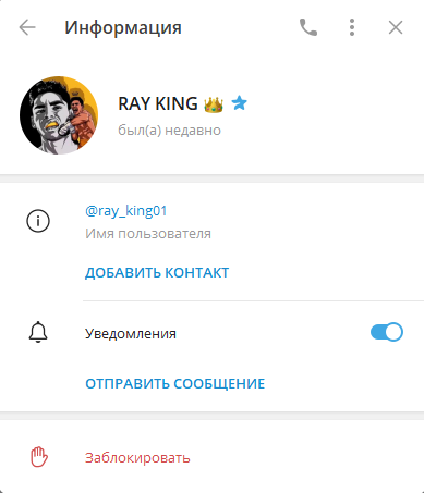 отзывы о ray king01