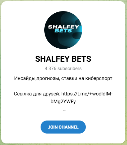 shalfey bets