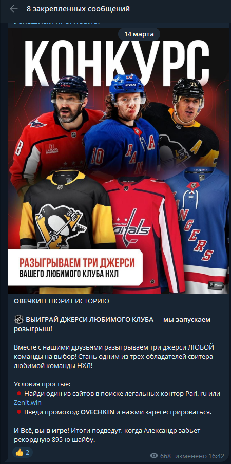 каппер SuccessStavki