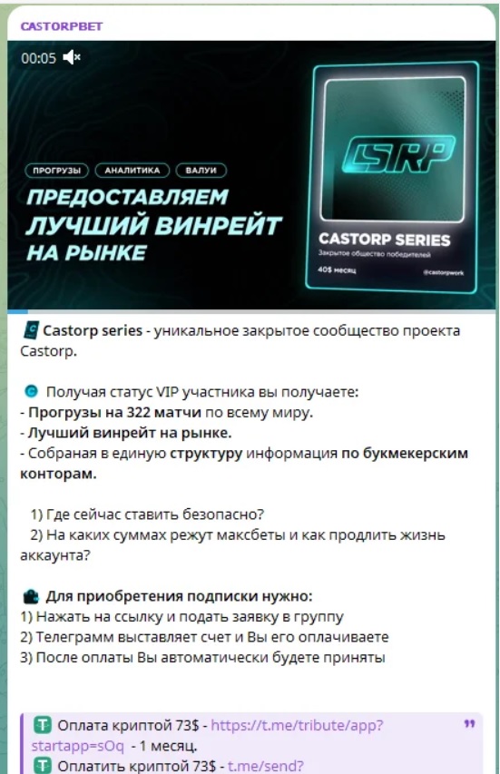 Castorpbet телеграмм канал