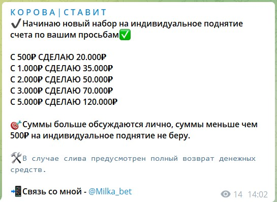 Milka bet прогнозы