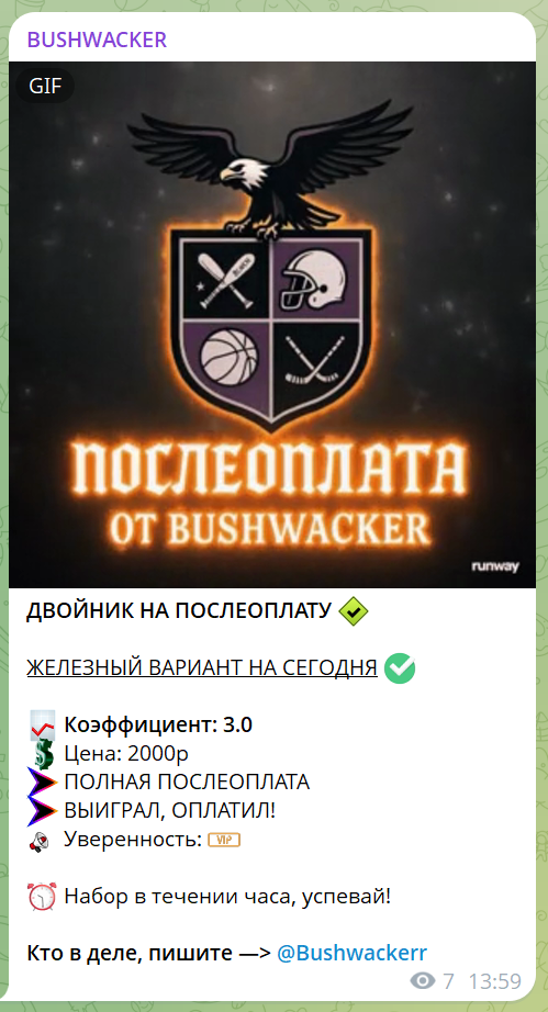 Телеграм канал Bushwacker