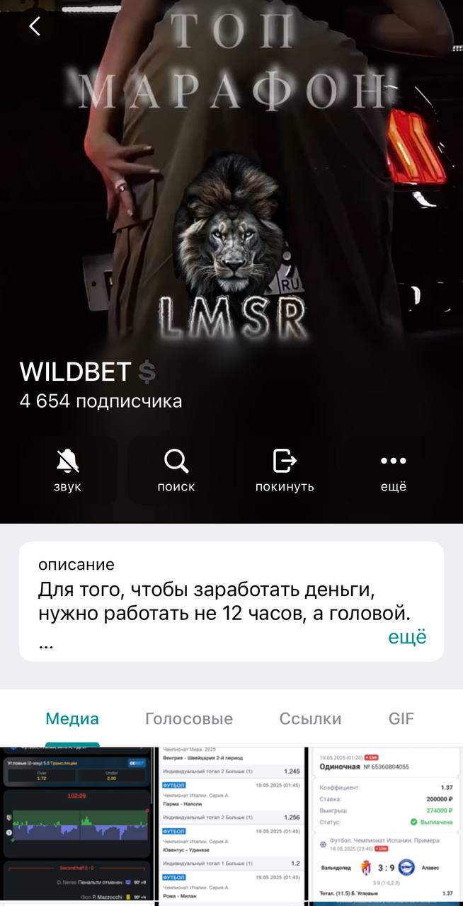 Телеграмм канал Wildbet