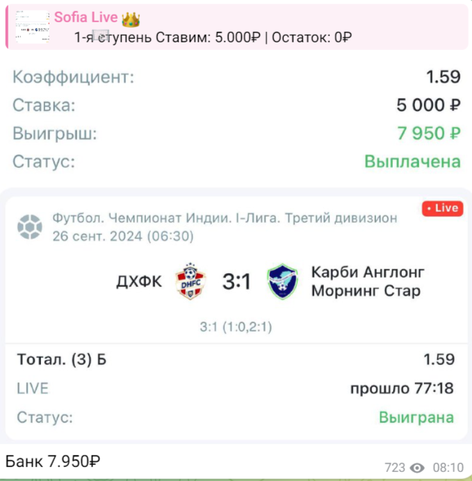 телеграмм София Лайв