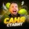 Саня Ставит