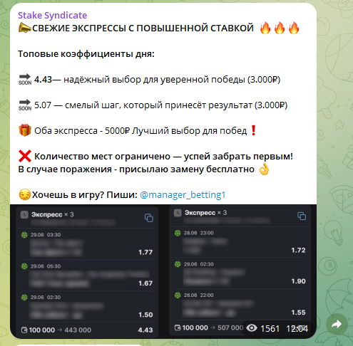 Телеграм канал Стейк Синдикат
