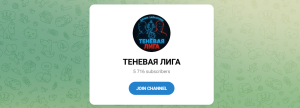 Канал Telegram Теневая Лига – Отзывы о Даниле Зайнуллине De_zainul