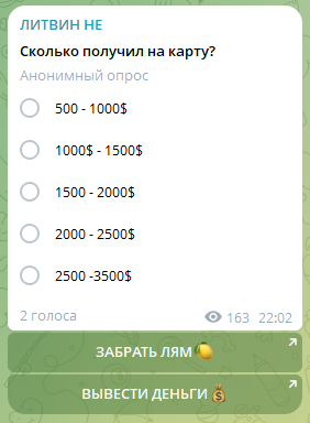 Литвин Не Телеграмм проект