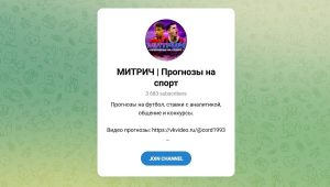 Группа VK и Канал Telegram Митрич | Прогнозы на Спорт @ockapp7 – Отзывы о Вадиме Витальевиче