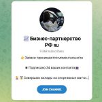 Канал Telegram Бизнес-партнерство РФ – Отзывы о Софии @sofaa_alekveee211