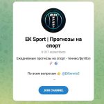Канал Telegram EK Sport | Прогнозы на Спорт – Отзывы о Егоре @ektennis2