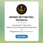 Канал Telegram Gromov Betting Pro | Экспрессы – Отзывы о Константине