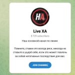 Канал Telegram Live ХА – Отзывы об Алексее @pupsik_p