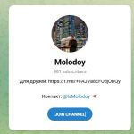 Канал Telegram Molodoy (lsmolodoy) – Реальные Отзывы