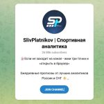 Канал Telegram Slivplatnikov – Отзывы о Виталии Vetalmelan и Егоре Betbestblack