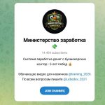 Канал Telegram Министерство Заработка – Отзывы о Владимире Лебедеве Lebedev_2021
