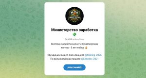Канал Telegram Министерство Заработка – Отзывы о Владимире Лебедеве Lebedev_2021