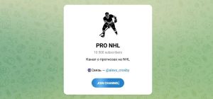 Канал Telegram Pro Nhl – Отзывы об Алексее Alexx_crosby