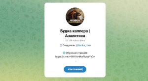 Канал Telegram Будка Каппера | Аналитика – Отзывы о Данииле @budka_men