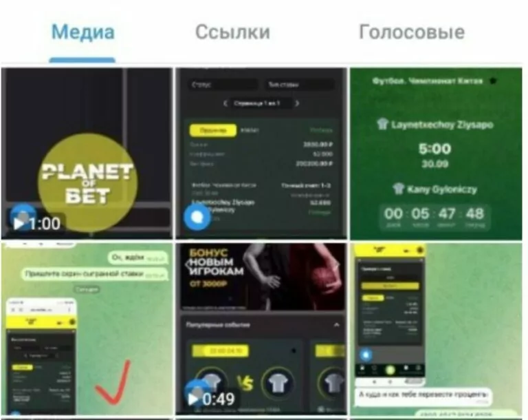 ксения конева