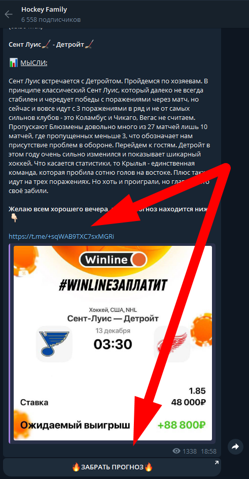 hockey family каппер