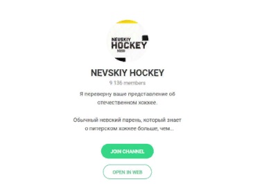 nevskiy hockey
