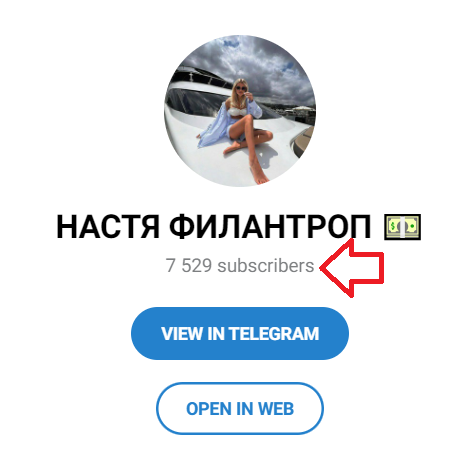 настя филантроп телега отзывы