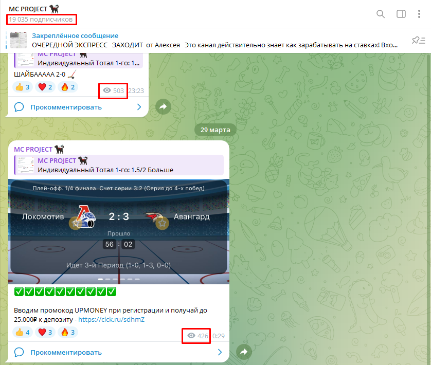 MC Project капер