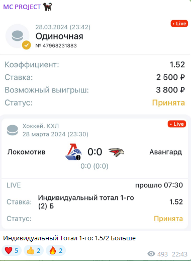 MC Project Телеграмм