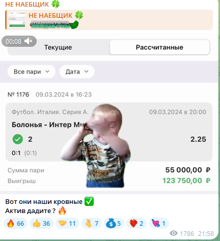 не наебщик ставки телеграм