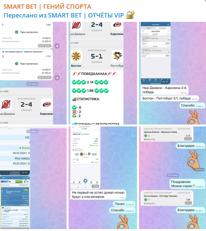 Smart Bet Гений спорта отзывы Smart Bet Гений спорта отзывы