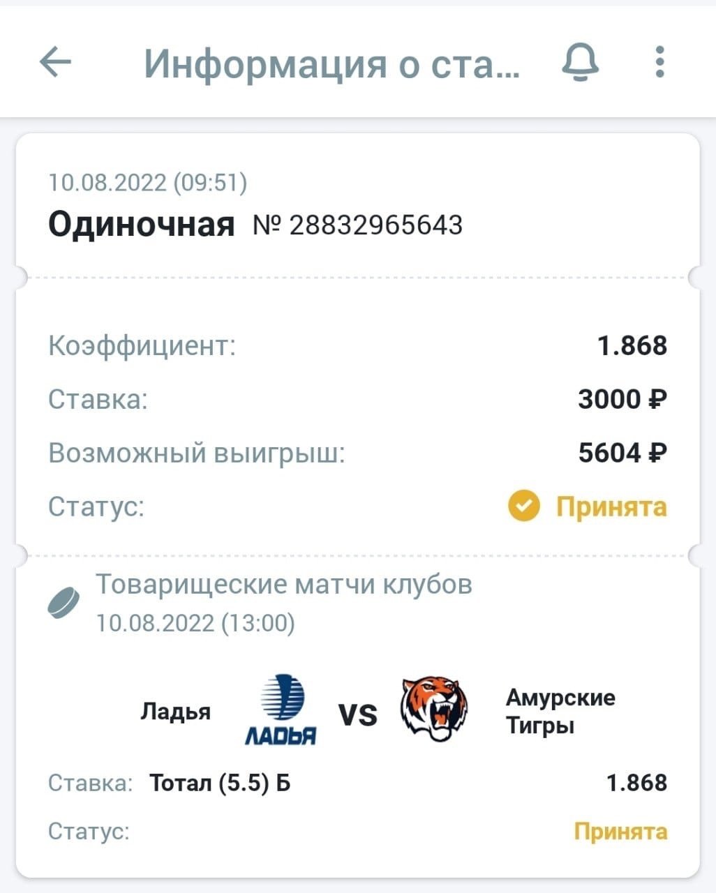 теневой хоккей капер отзывы