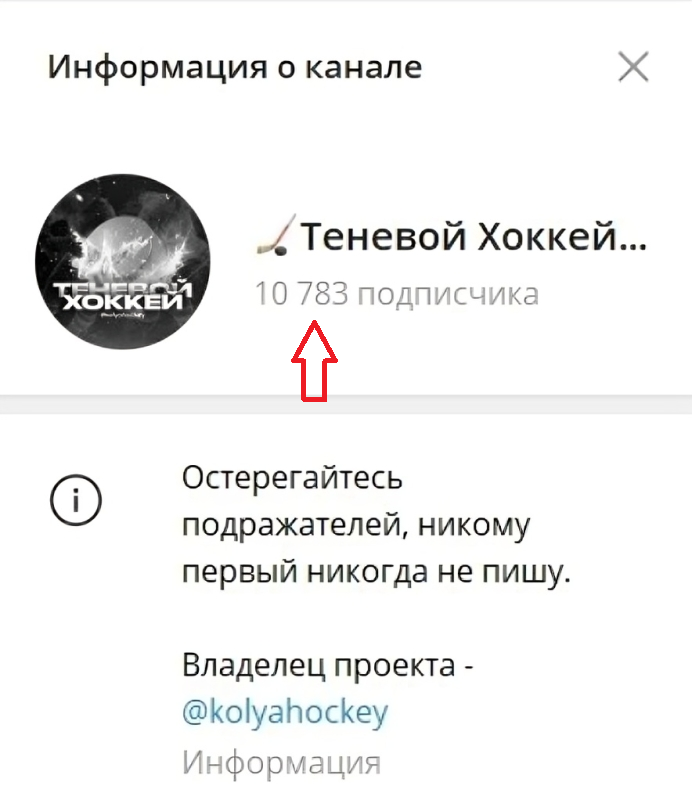 теневой хоккей