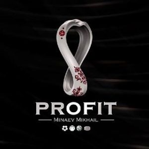 Profit ⚽️🏒🎾| Minaev Mikhail