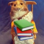 Уютный Разбирает | Инвестиции
