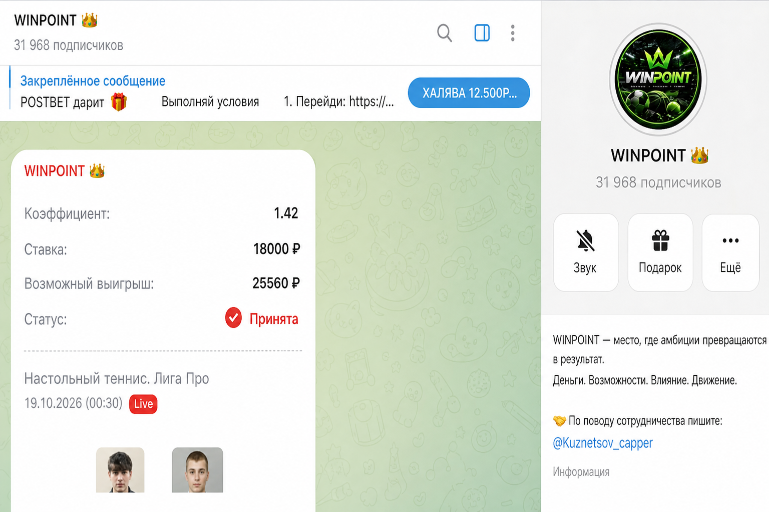 Winpoint (илья Кузнецов): Описание, Статистика, Отзывы Winpoint (илья Кузнецов): Описание, Статистика, Отзывы
